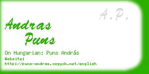 andras puns business card